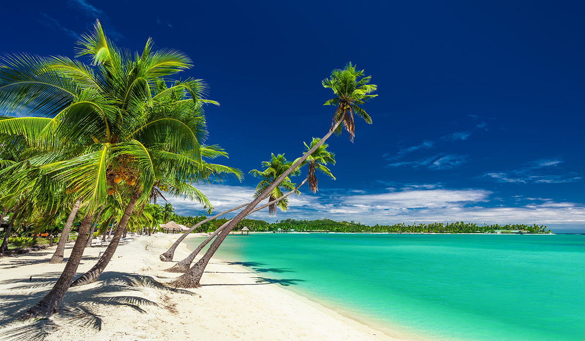 Tropická pláž s kokosovými palmami na Fidži