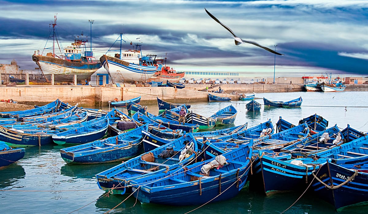 Typické modré rybářské lodě v Essaouirě