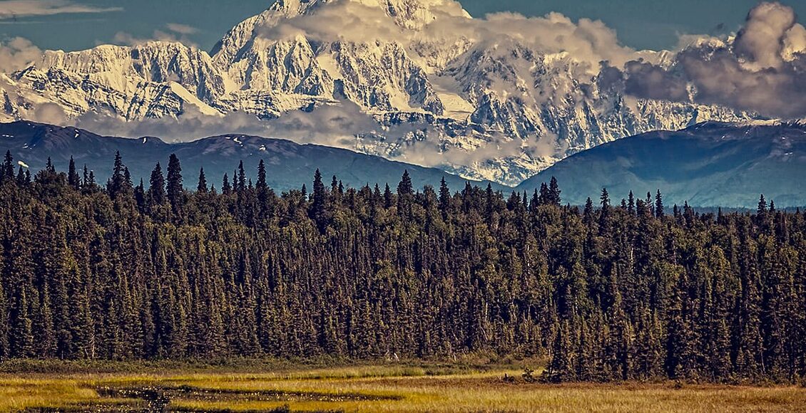 MountMcKinley Galyna Andrushko