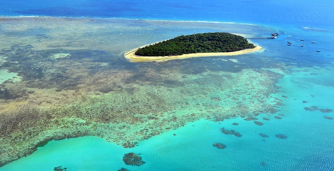 Rafael-Ben-Ari—Zelený-ostrov-útes-u-Velkého-bariérového-útesu-poblíž-Cairns-57316618_xxl
