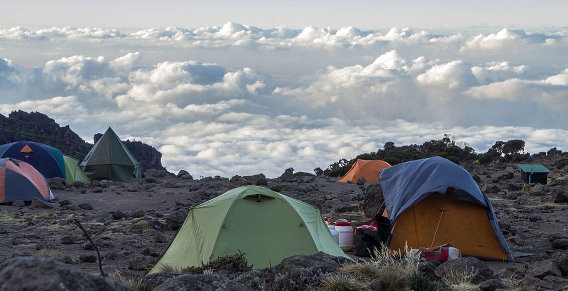 _Barranco-Kemp-na-úbočí-Kilimandžára—Picattos—48390524_xl