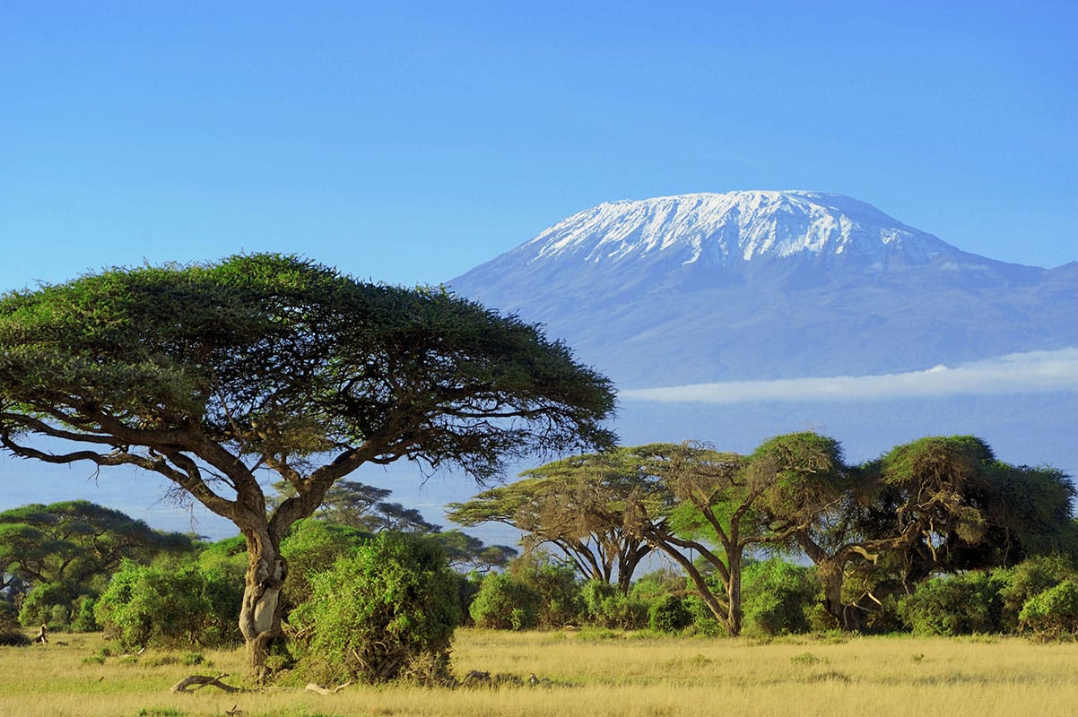 Keňa - NP Amboseli a Kilimandžáro v dálce