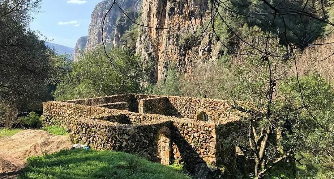 jabalmoussa mesmerizing-jabalmoussa-chouwan-alexis-afeiche–1-29-2018-8-19-34-am-l