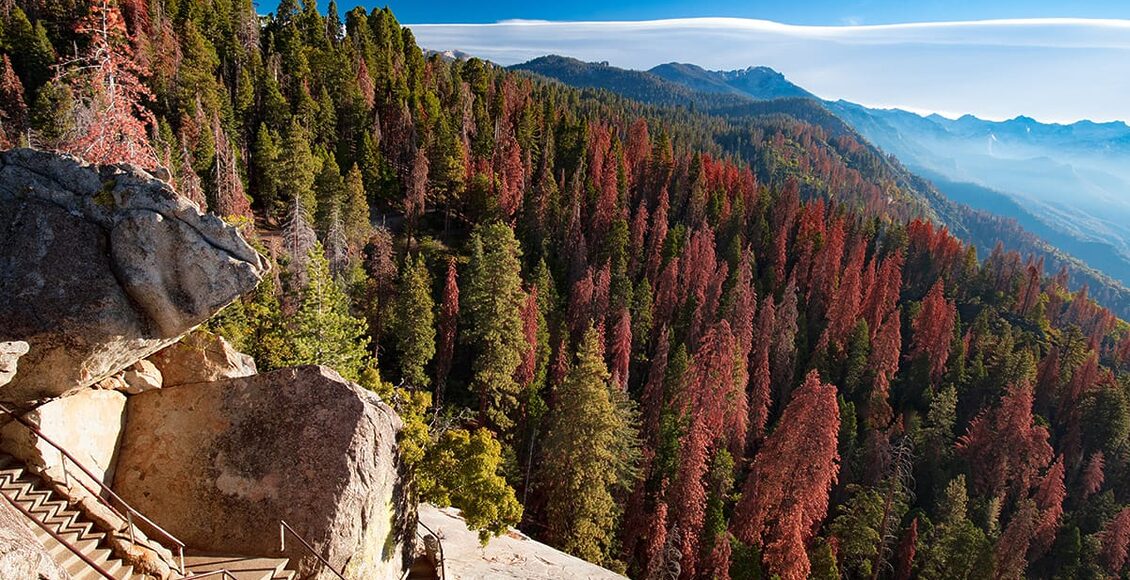 Autumn-sunrise-over-redwood-trees-at-Moro-Rock-in-Sequoia-National-Park-67887294_l