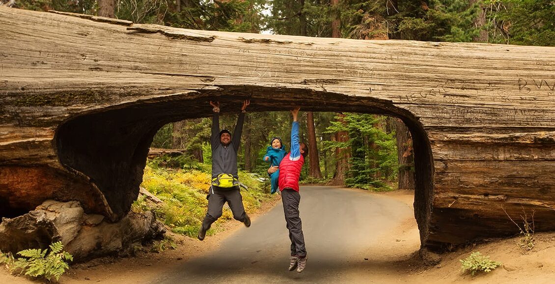 Family-with-infant-visit-Sequoia-national-park-in-California-74797246_l