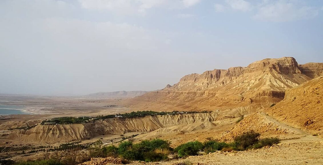 Kibbutz-Ein-Gedi—oaza-v-pousti