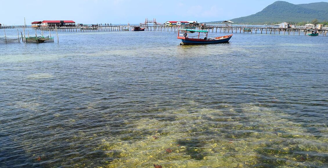 StarFish-Beach