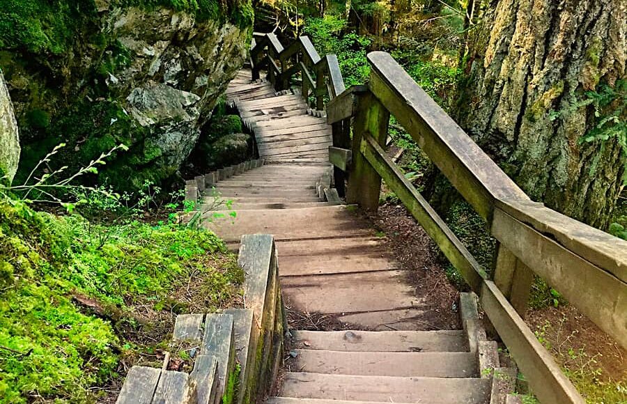 Lynn-Canyon-Park