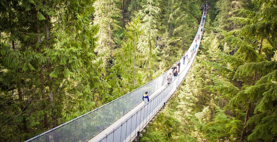 capilano-suspension-bridge-1393076_1920