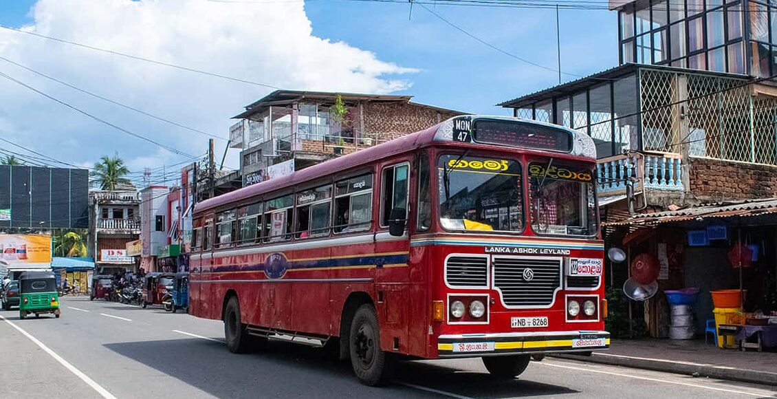 typickž-bus