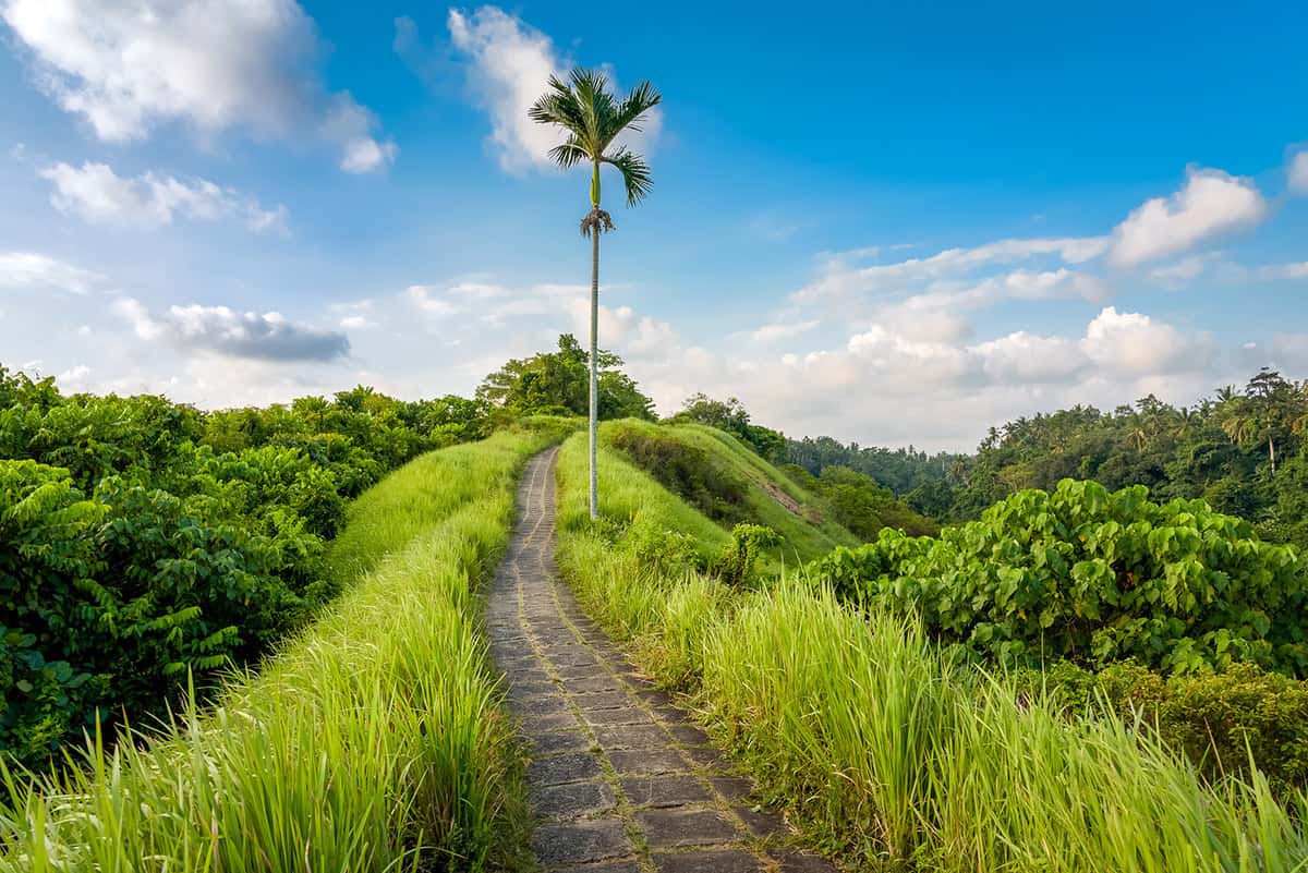 Campuhan Ridge Walk