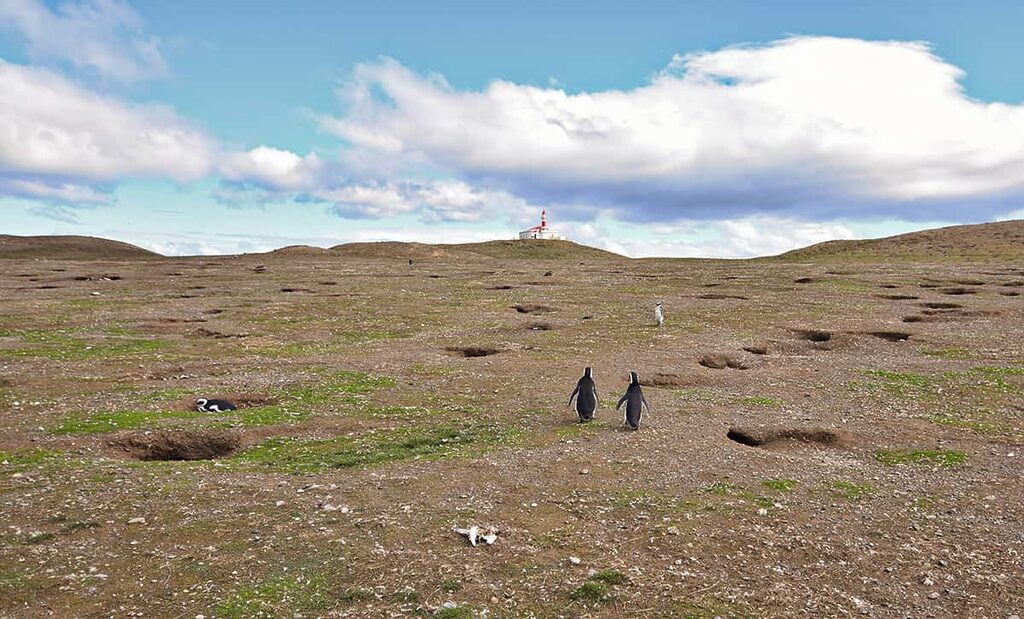 Maják na Isla Magdalena a tučňáci