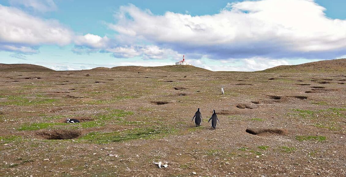 Isla_Magdalena_lighthouse