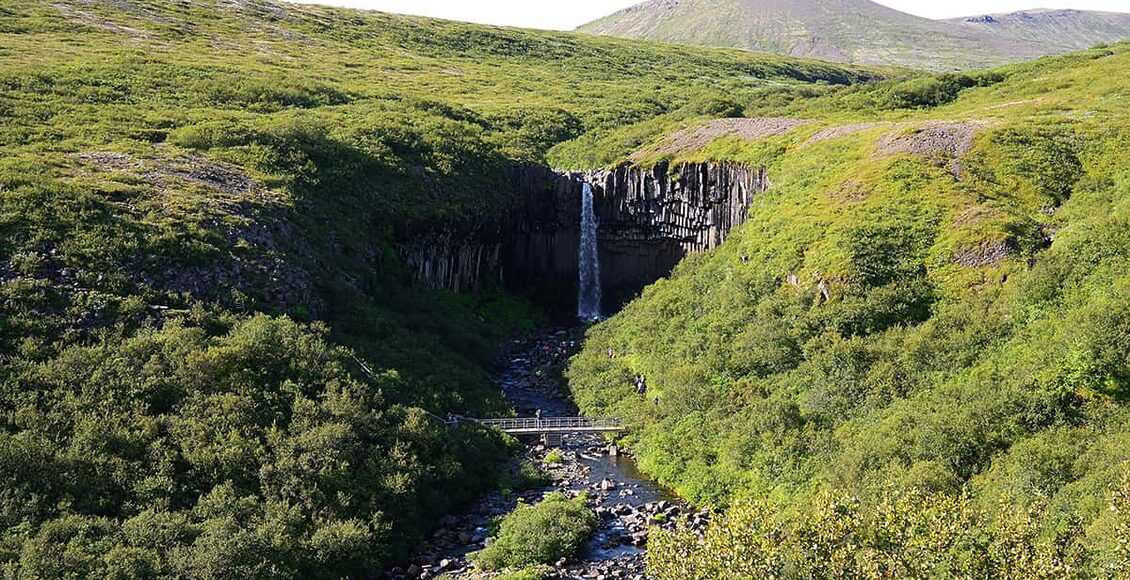 Svartifoss