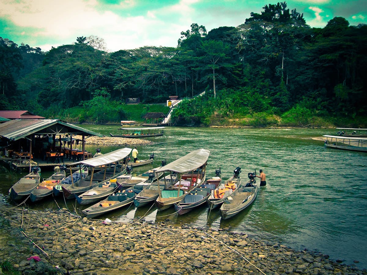 Národní park Taman Negara