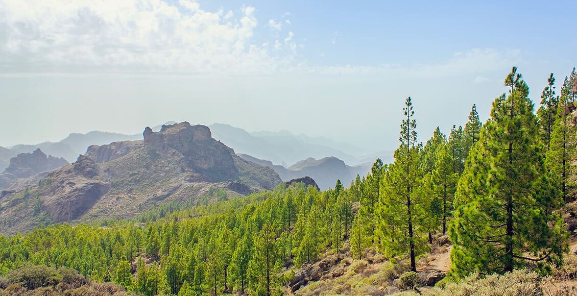 gran-canaria-001