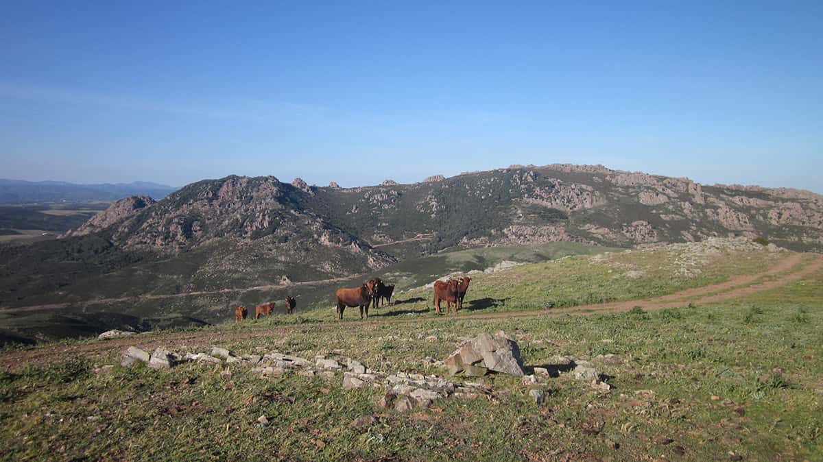 Monte Genis