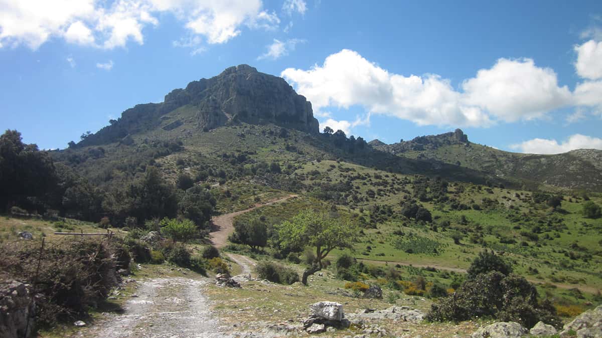 Monte Fumai