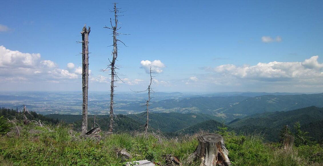 IMG_9042-Beskid-Sadecki