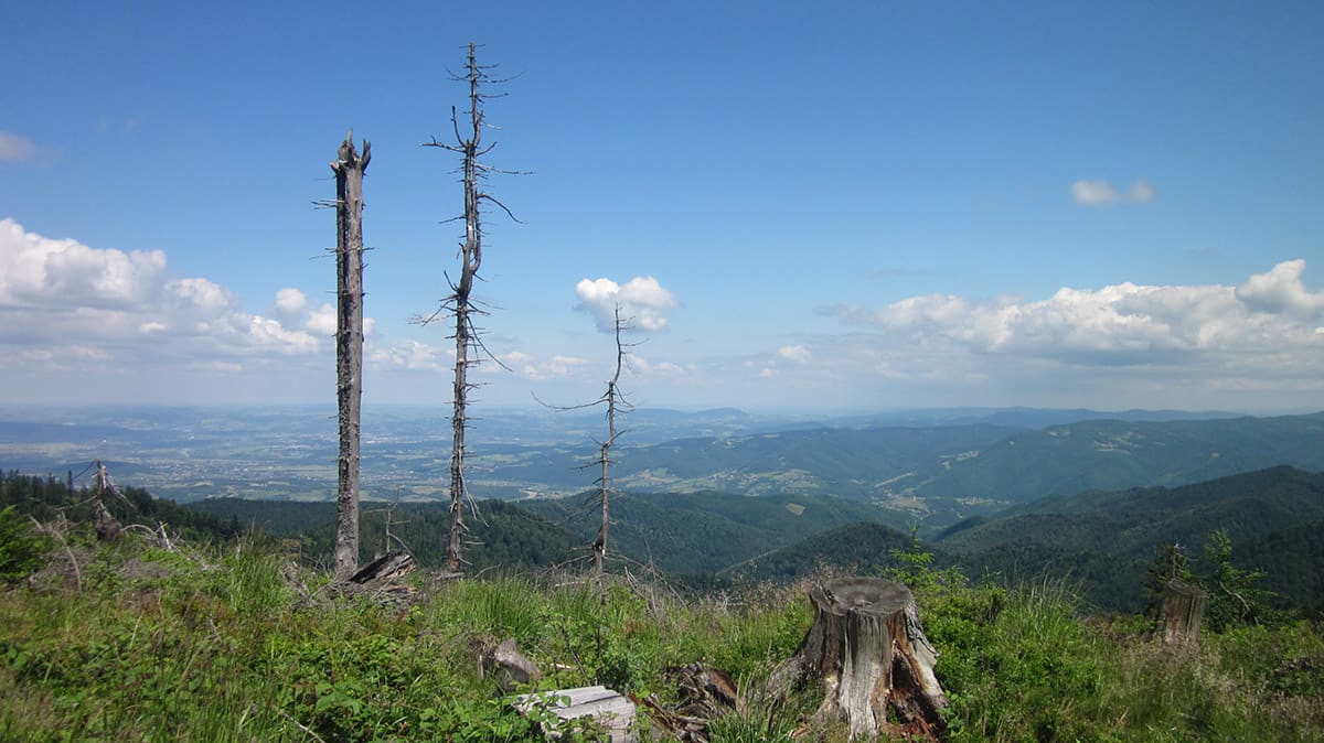 Beskid-Sadecki