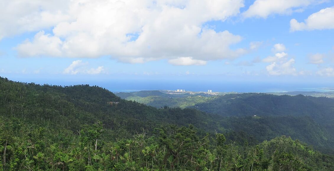 El-Yunque_4