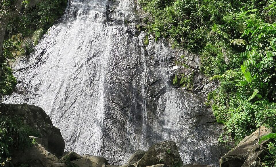 El-Yunque_5